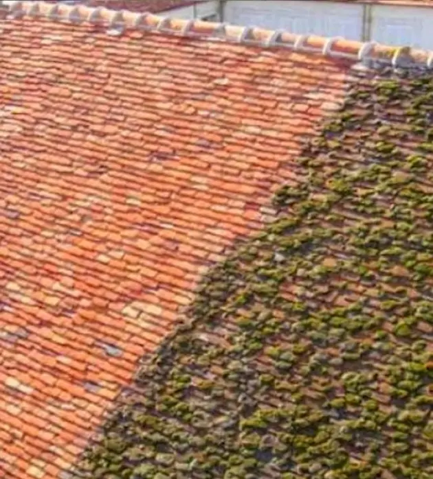 Savoir-faire façadier pour rénovation extérieure durable – Façadier Peintre 18